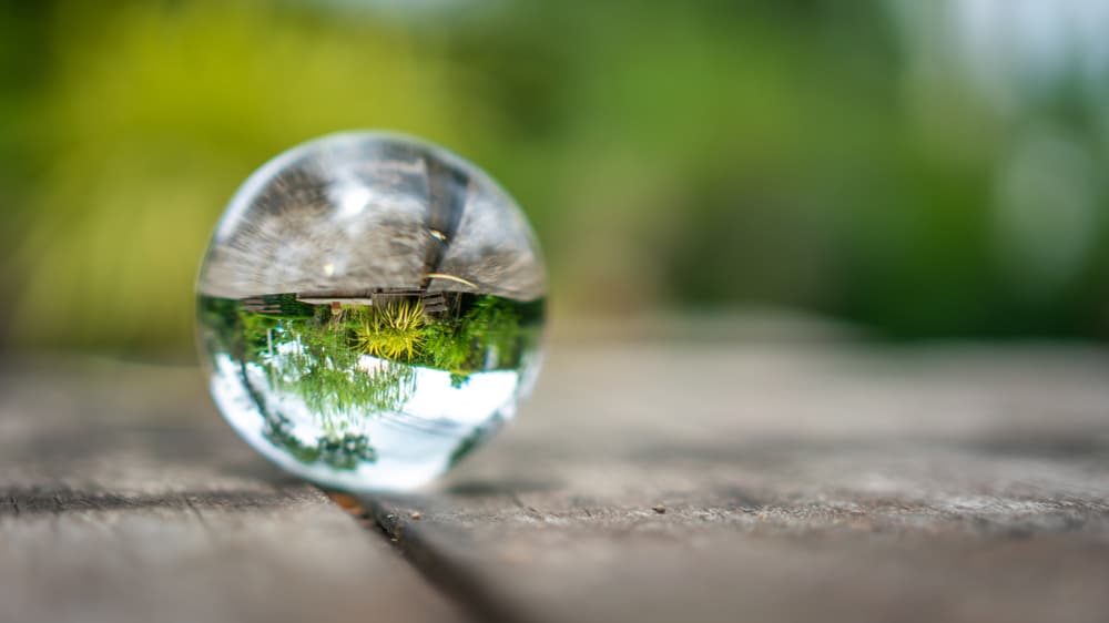 ecosystem value