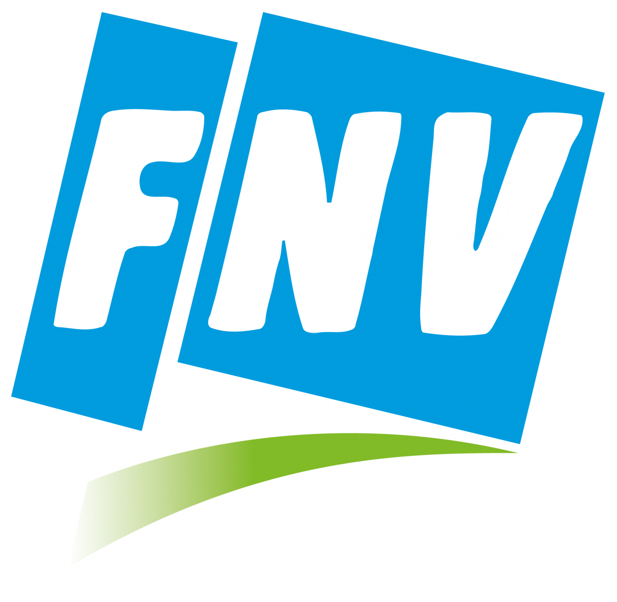 FNV-LOGO-FLASH-CMY