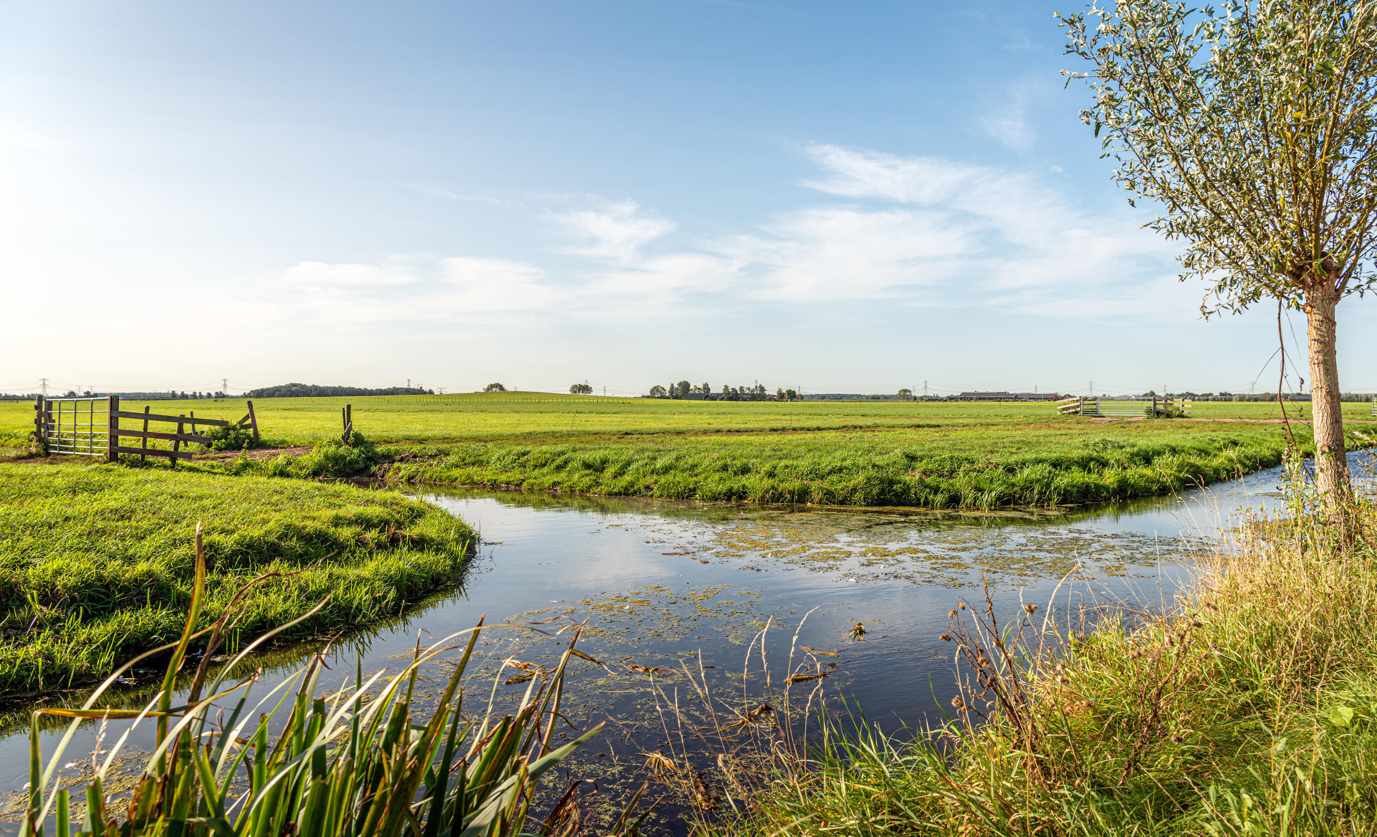 natuurherstelwet-weiland-sloot-berm-boom