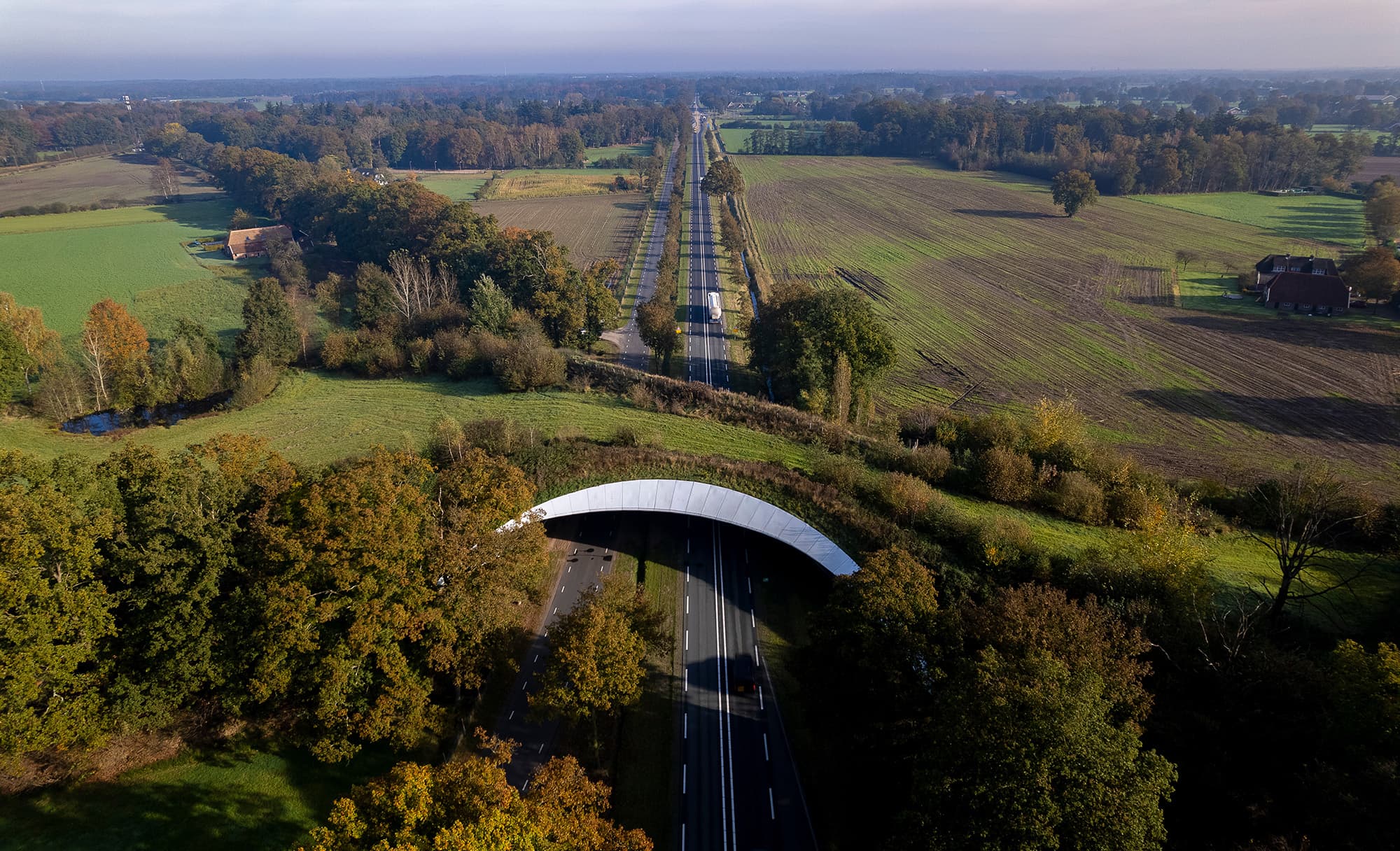CCT_Impact_Ecoduct_Snelweg_weg_Grimberg