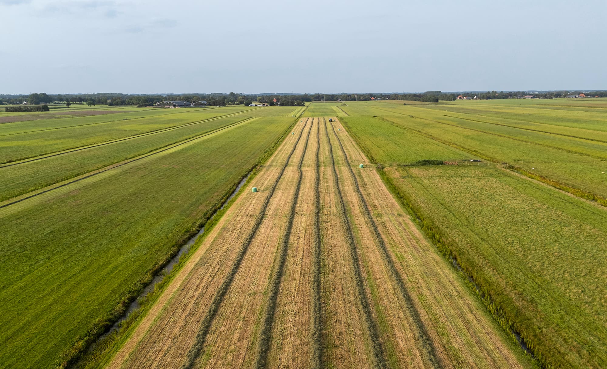 Harvest of grass in agriculture fields in the Netherlands