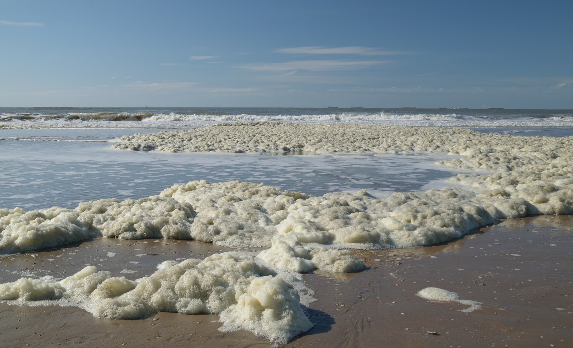 Sea foam on the beach in large quantity – wide angle – in Den Ha