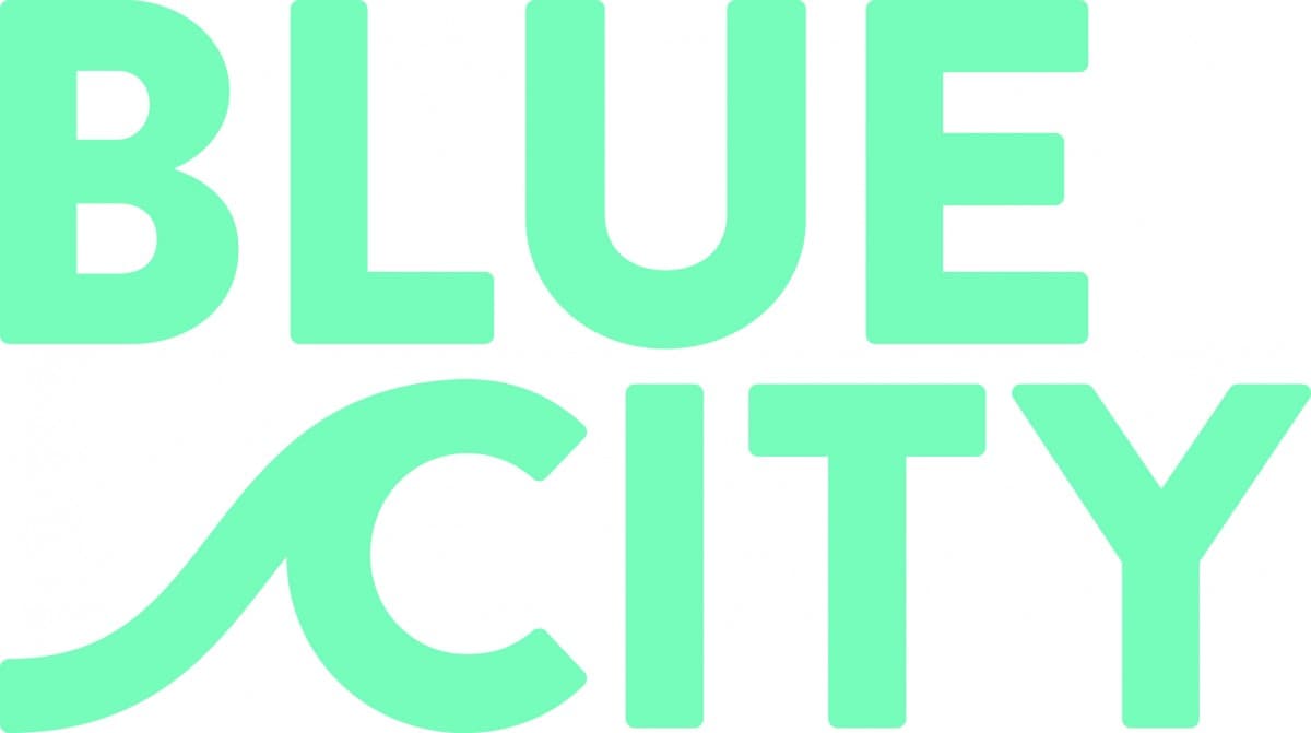 Blue City logo